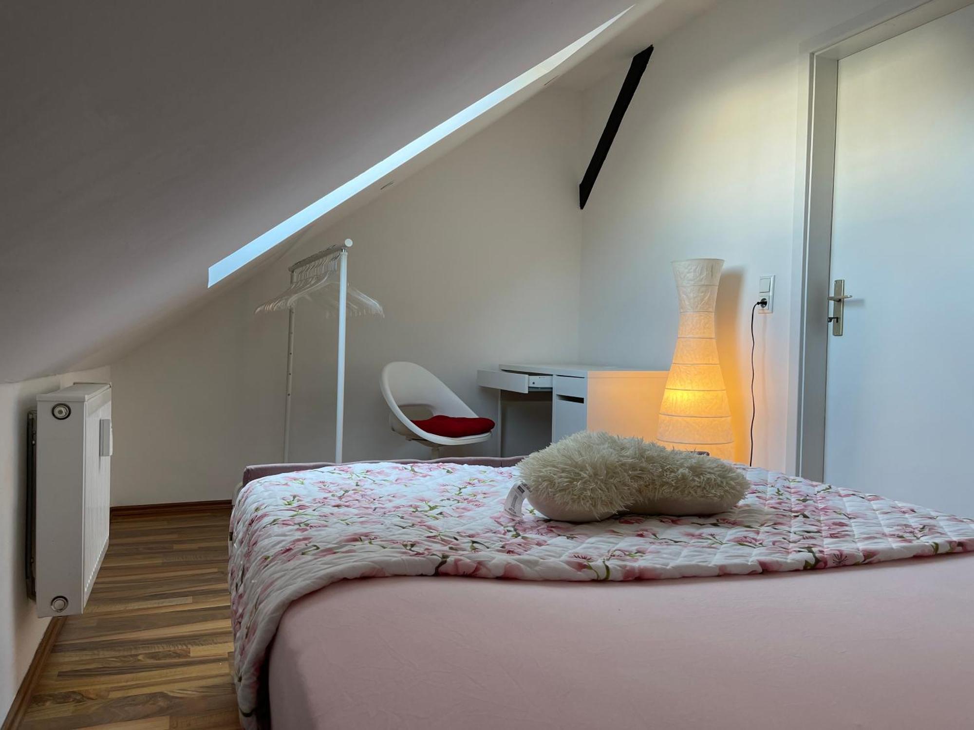 Geraeumige 3-Zimmer-Ferienwohnung Im Herzen Von Kassel Exterior photo