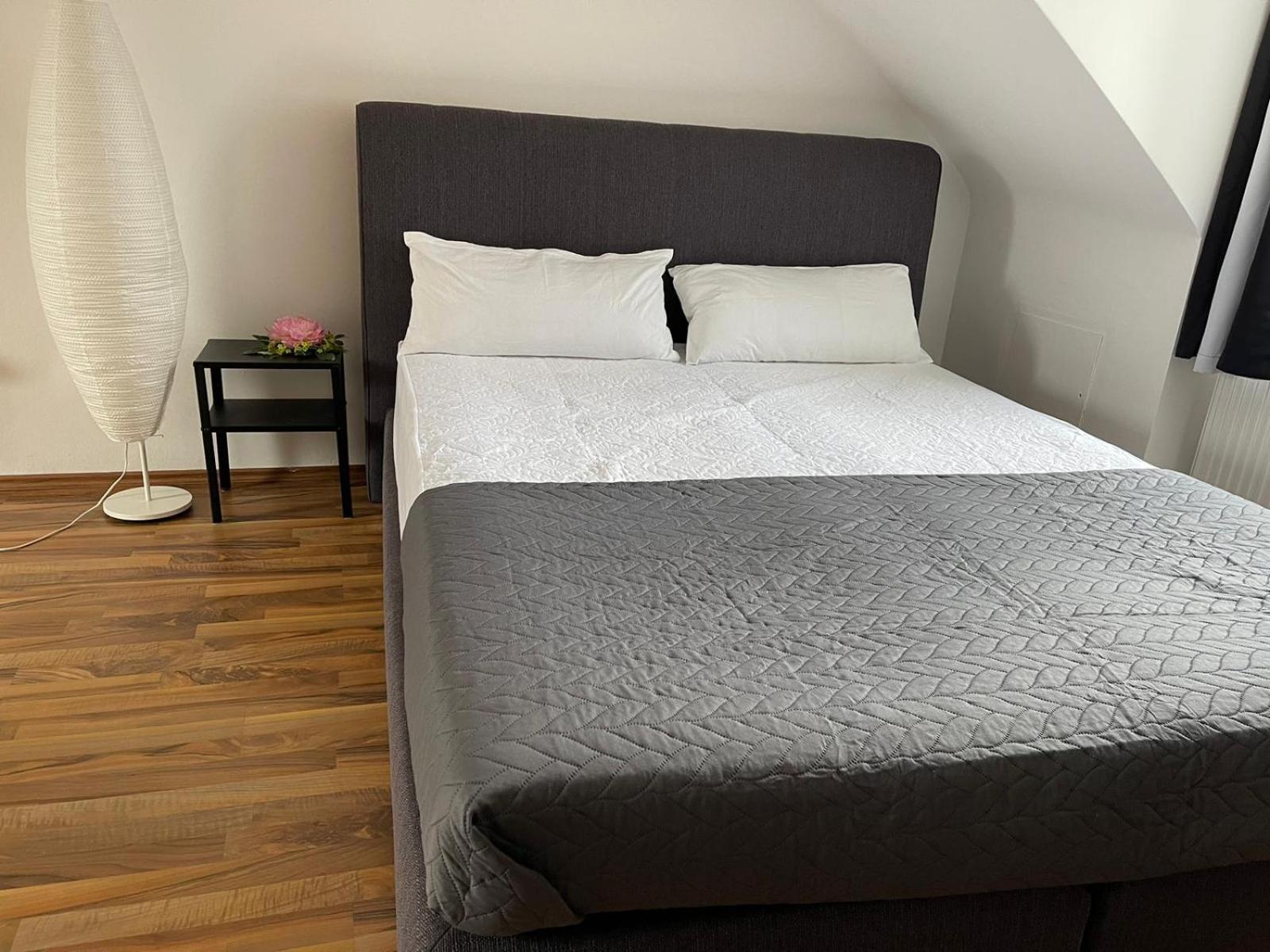 Geraeumige 3-Zimmer-Ferienwohnung Im Herzen Von Kassel Exterior photo